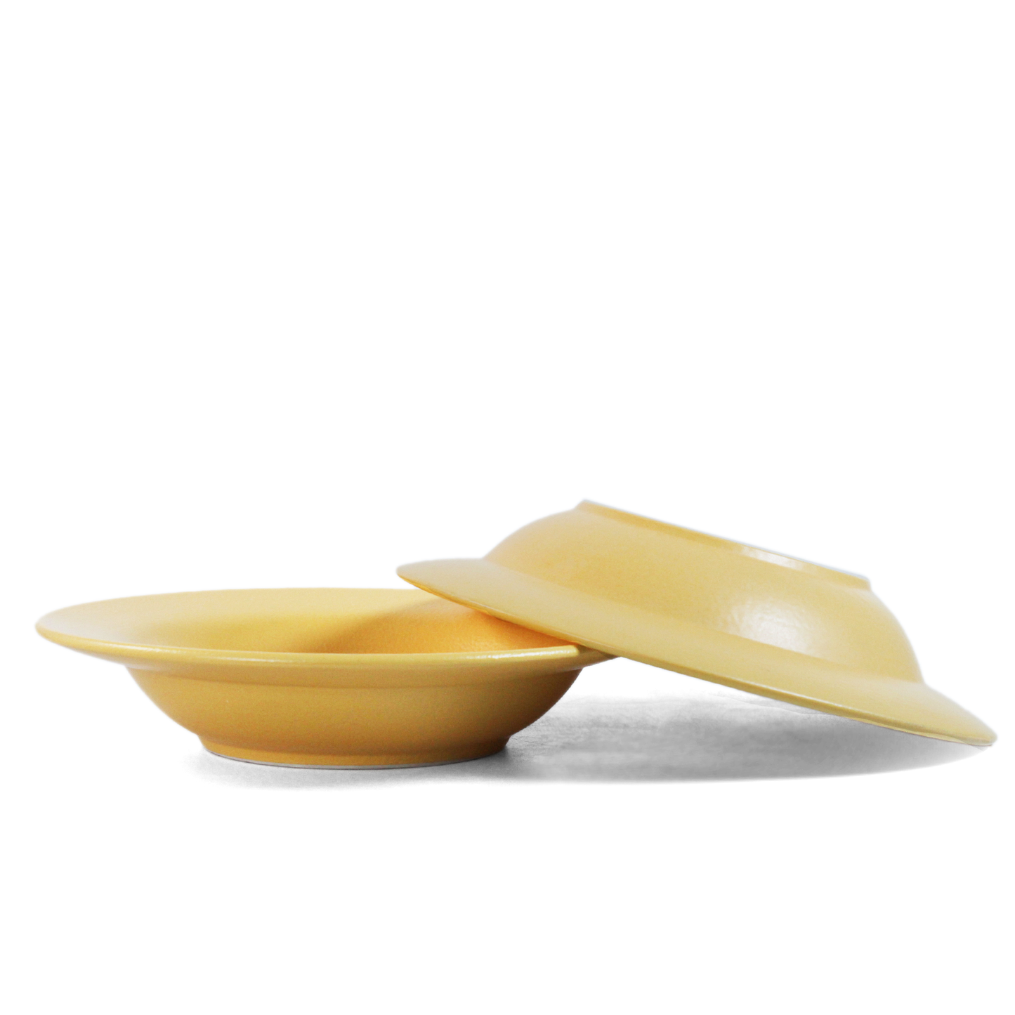 Aamras Classic Pasta Plate - Set of 2