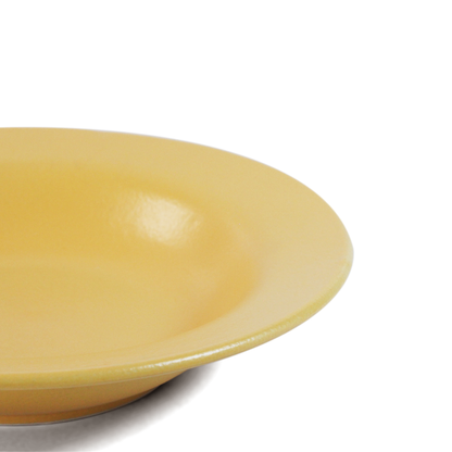 Aamras Classic Pasta Plate - Set of 2