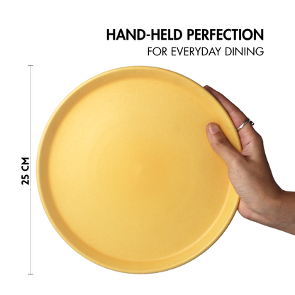 Aamras Dinner Plate - Set of 2