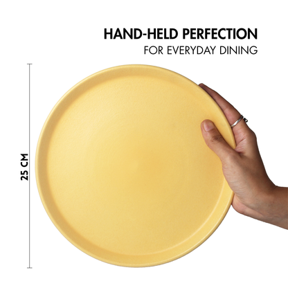 Aamras Dinner Plate - Set of 2